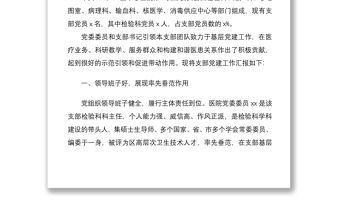 2021醫院黨支部創建“基層黨建工作示范點”事跡材料范文