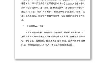 2021公安局派出所黨支部書記抓基層黨建工作述職報告范文2篇