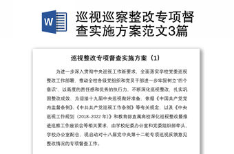 2021巡視巡察整改專項(xiàng)督查實(shí)施方案范文3篇