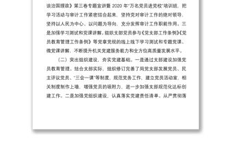 xx局黨支部書記2020年抓基層黨建工作情況述職報告范文