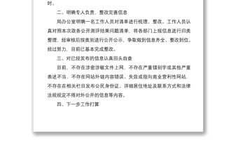 2021政務公開自查報告2篇