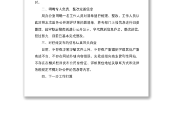 2021政務(wù)公開自查報告2篇