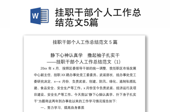 2021掛職干部個人工作總結范文5篇