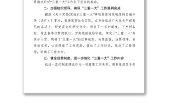 2021【計劃總結】貫徹落實“三重一大”工作情況匯報