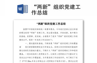 2021“兩新”組織黨建工作總結(jié)