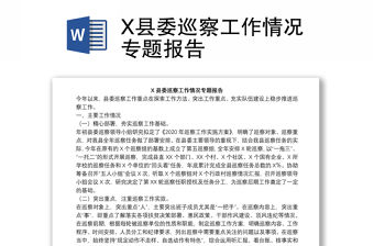 X縣委巡察工作情況專題報告