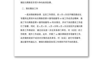 2021鄉(xiāng)鎮(zhèn)掃黑除惡專項督導(dǎo)整改報告