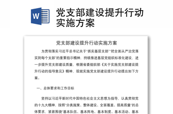 2021黨支部建設(shè)提升行動實施方案