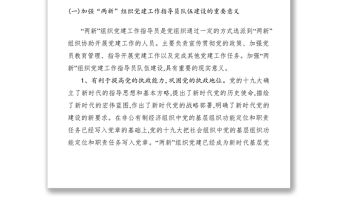 2021加強兩新組織黨建工作指導員隊伍建設的實踐與思考