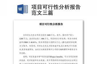 2021項(xiàng)目可行性分析報(bào)告范文三篇