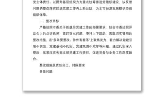 2021黨工委書記抓基層黨建述職評(píng)議問題整改實(shí)施方案