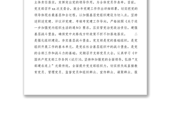 2020年黨支部書記抓黨建述職評議考核工作報告