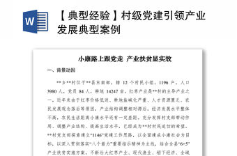 2021【典型經驗】村級黨建引領產業發展典型案例