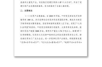 2021【典型經驗】村級黨建引領產業發展典型案例