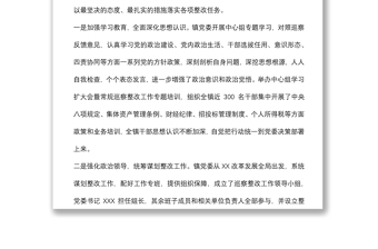 XX鎮(zhèn)常規(guī)巡查情況匯報