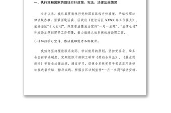 2021XXXX個(gè)人履職報(bào)告