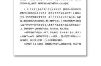 2021“不忘初心、牢記使命”主題教育整改落實(shí)“回頭看”情況報(bào)告（主題教育整改報(bào)告）