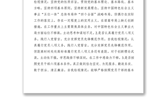2021【對照檢查】主題教育對照黨章、《準則》《條例》自我檢視情況