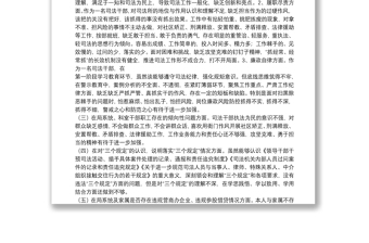 2021 年司法局政法隊伍政法教育整頓查糾整改環(huán)節(jié)專題組織生活會個人對照檢查發(fā)言