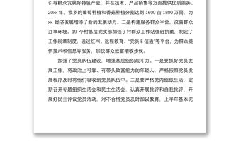 2021鄉鎮上半年工作總結范文