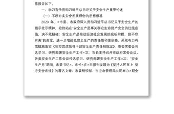 2020年度全市安全生產專項整治三年行動工作報告