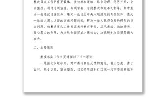 2021巡察反饋意見整改落實方案