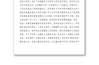 2021鄉(xiāng)鎮(zhèn)黨委書記關(guān)于組織落實巡察整改情況的報告