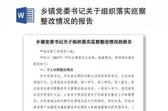 2021党组织主要负责人关于组织落实巡察整改情况的报告