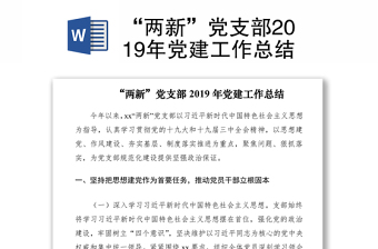 “兩新”黨支部2019年黨建工作總結(jié)