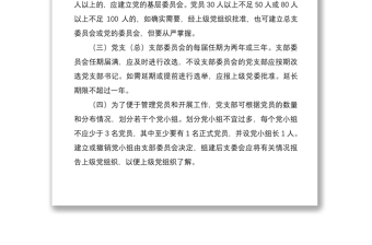 2021黨組織設置規(guī)范及黨支部工作職責分工