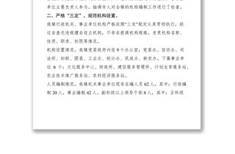 2021鄉鎮機構編制監督檢查情況自查報告