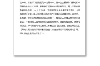 司法局局長2020年度述職述學述法述責述廉報告范文