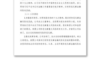 2021“打好防范化解金融風(fēng)險(xiǎn)攻堅(jiān)戰(zhàn)”工作方案（集團(tuán)公司企業(yè)國企參考）