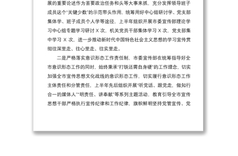 2020全面從嚴(yán)治黨主體責(zé)任半年工作匯報