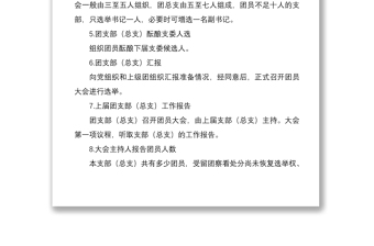 2021團(tuán)支部（總支）換屆改選工作程序
