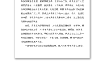 2021青年突擊隊誓師大會領導動員講話范文