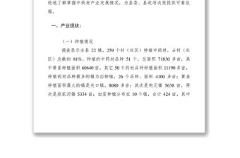 2021產業發展現狀調研報告