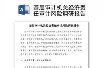 2021基層審計機關經濟責任審計風險調研報告