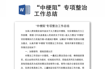 2021“中梗阻”專項整治工作總結(jié)