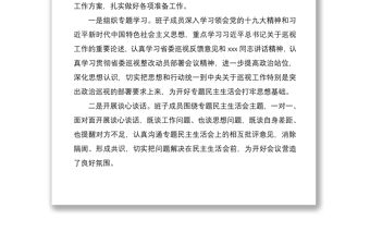 2021巡視整改專題民主生活會情況報告（巡察整改民主生活會報告）