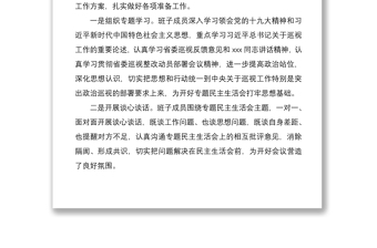 2021巡視整改專題民主生活會(huì)情況報(bào)告（巡察整改民主生活會(huì)報(bào)告）