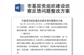 2021党史学习指导巡回组反馈问题的整改方案