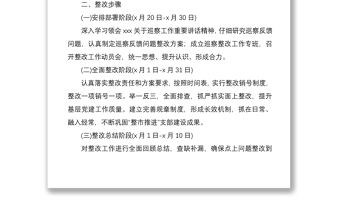2021市基層黨組織建設(shè)巡察反饋問題整改方案