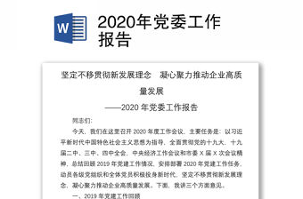 2020年黨委工作報告