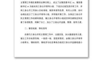 2021鄉(xiāng)鎮(zhèn)村級三務公開自查報告范文