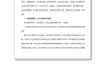 2021主題教育專項(xiàng)整治“回頭看”工作總結(jié)報(bào)告