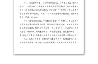 2021第二批“不忘初心、牢記使命”主題教育8個方面突出問題專項整治情況報告