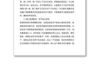 2021黨建個人工作總結匯報