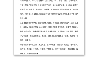 在組織生活會和民主評議黨員大會上的點評講話