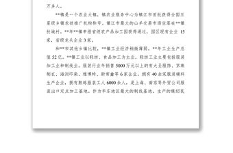 2021干部掛職鍛煉調研報告
